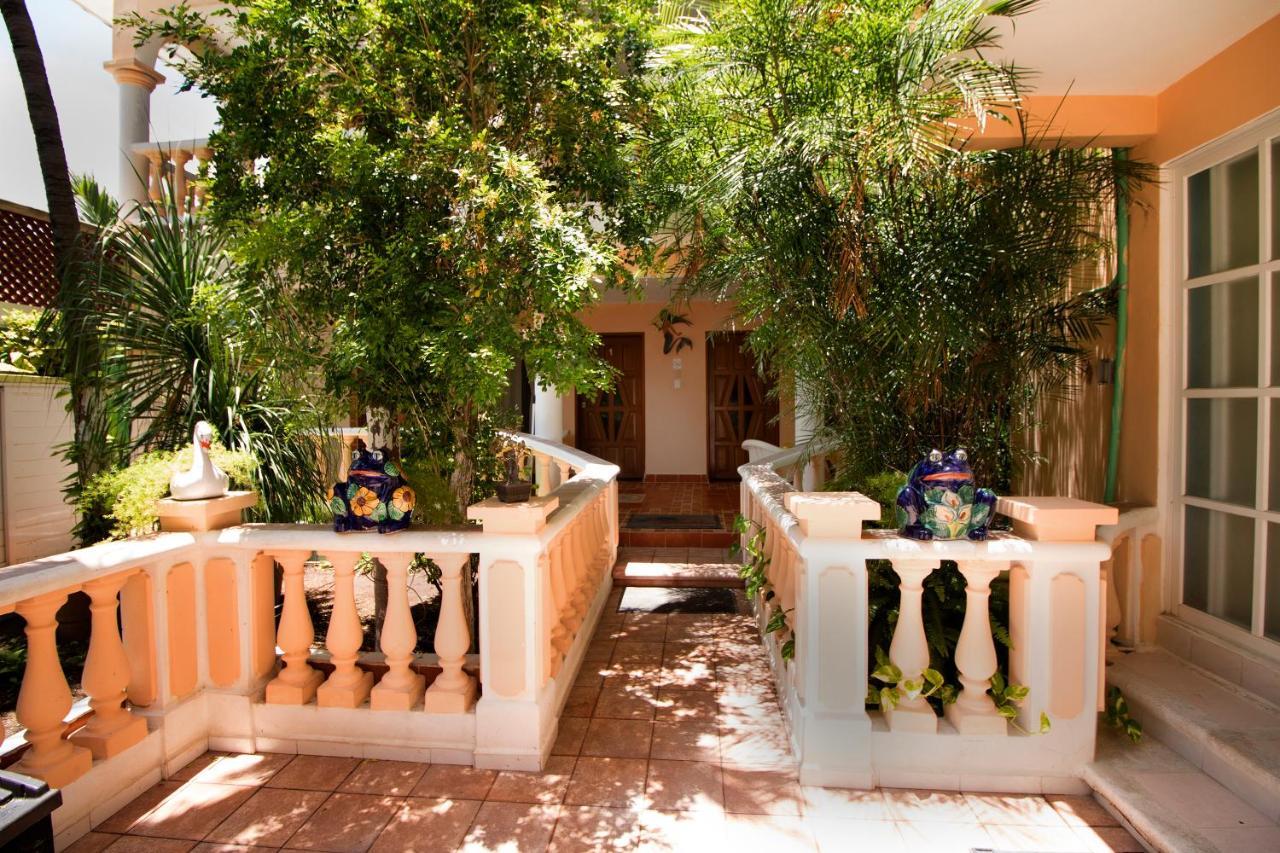 Hotel Francis Arlene Adults Only Isla Mujeres Dış mekan fotoğraf